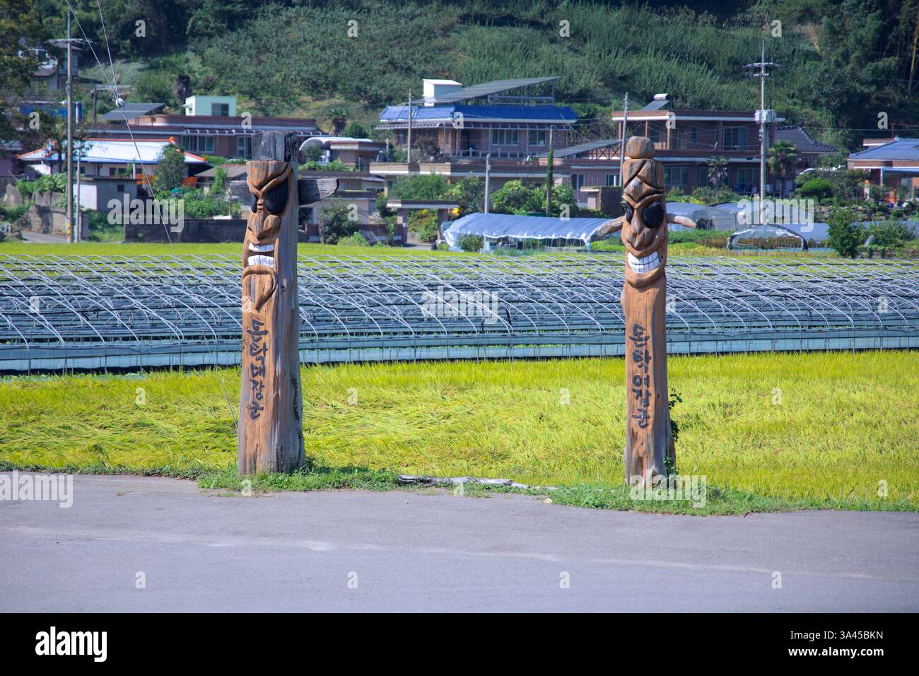 Ville de Gwangyang, Corée du Sud - 3 octobre 2021 : une paire de mâts totémiques traditionnels de Jangseung se tient à l'entrée d'un village rural, entouré de RIC Banque D'Images
