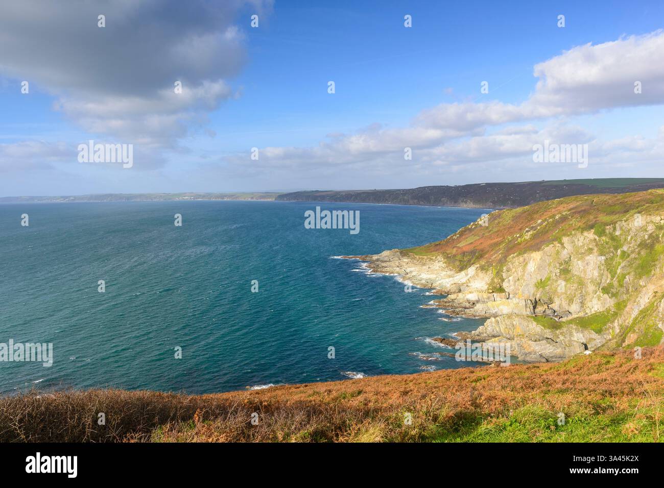 Vue sur Whitsand Bay depuis rame Head, Cornwall, Angleterre, Royaume-Uni Banque D'Images