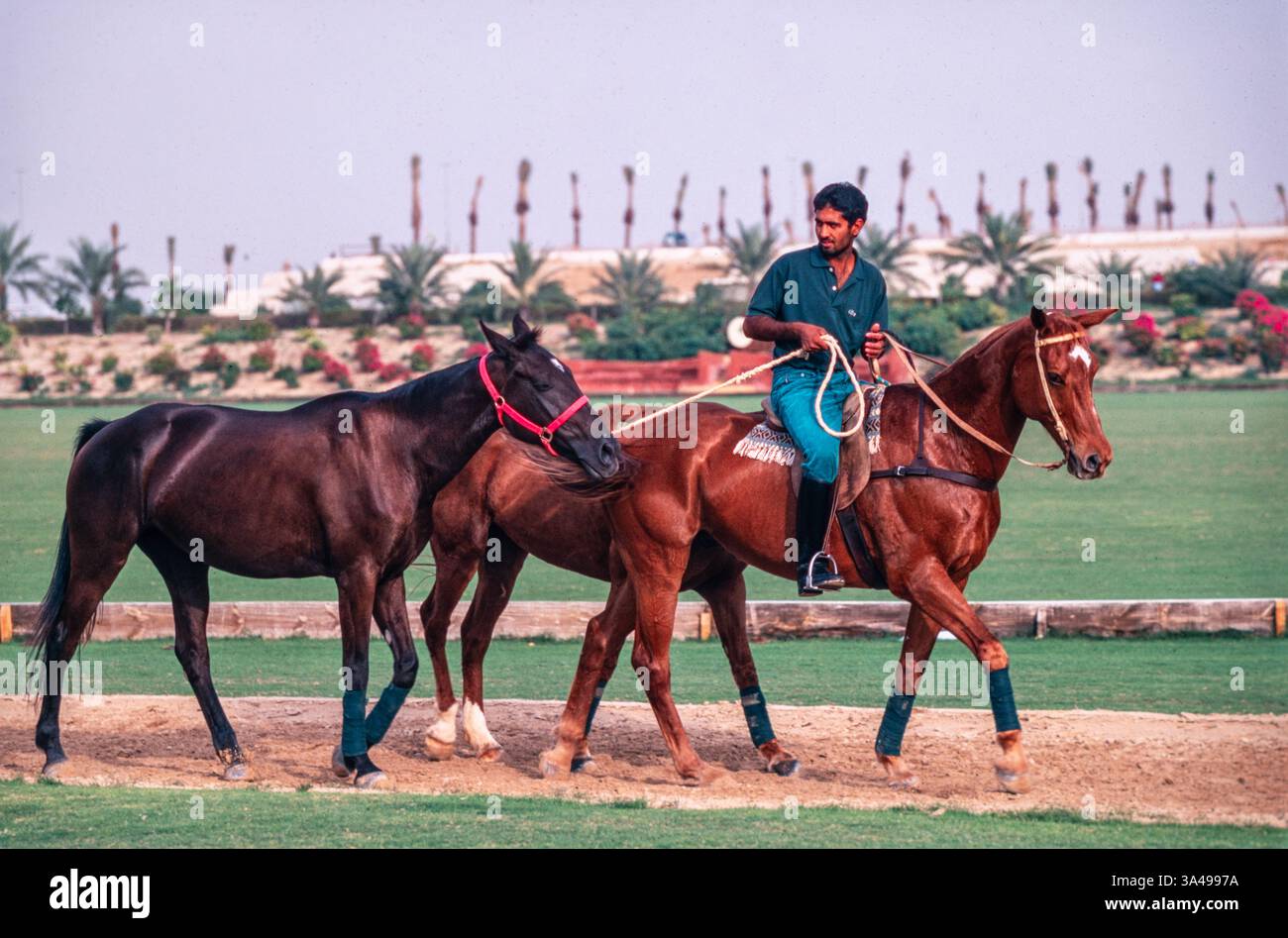 Les chevaux appartenant à l'Aga Khan sont exercés au Salagor Turf Club à Kuala Lumur, Malaisie. Banque D'Images
