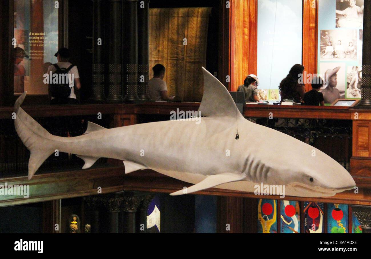 Le Hawaiian Hall du Bishop Museum, à Honolulu, est la plus grande collection d'artefacts hawaïens au monde le 27 août 2014. Il y a plus de 25 millions de trésors historiques, culturels et naturels de partout dans le Pacifique. (Crédit image : © Barry Sweet/ZUMA Wire) Banque D'Images
