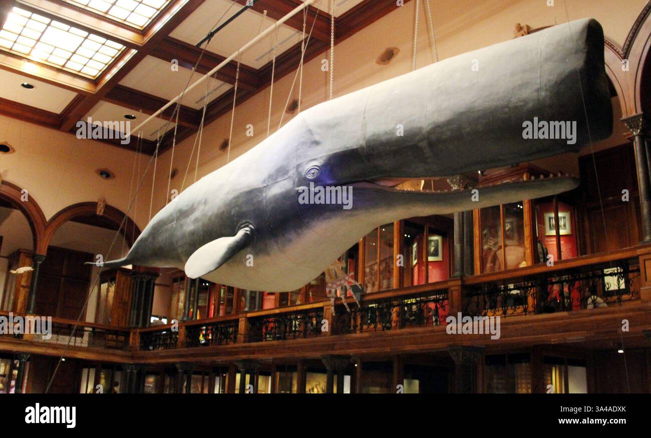 Le Hawaiian Hall du Bishop Museum, à Honolulu, est la plus grande collection d'artefacts hawaïens au monde le 27 août 2014. Il y a plus de 25 millions de trésors historiques, culturels et naturels de partout dans le Pacifique (crédit image : © Barry Sweet/ZUMA Wire) Banque D'Images