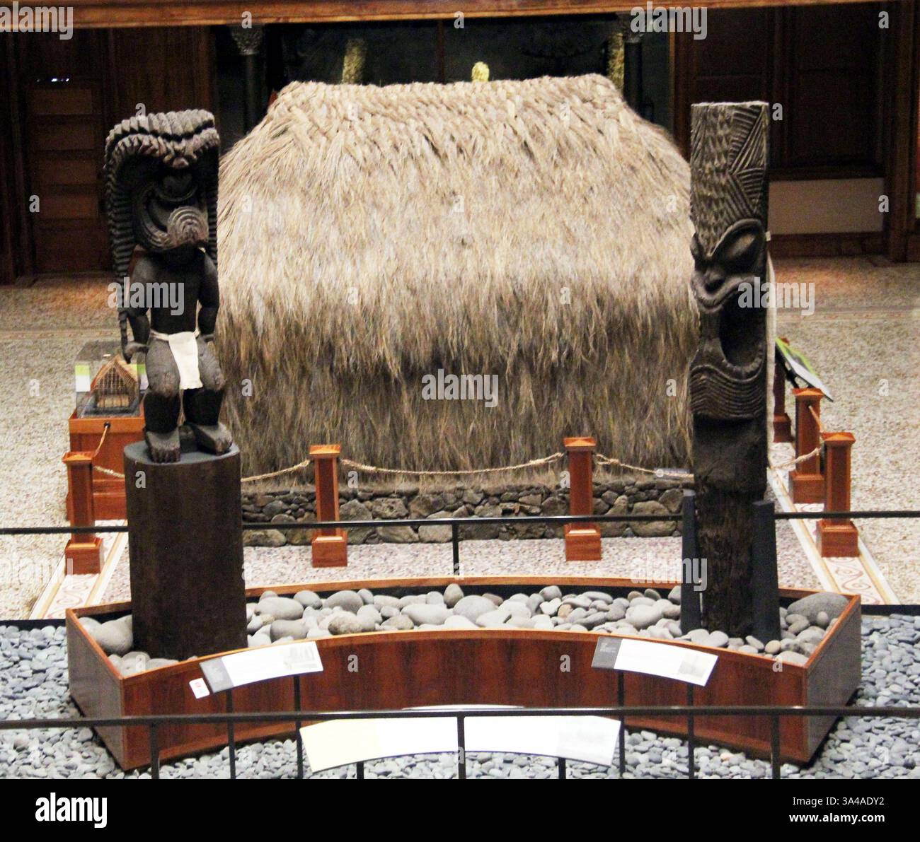 Le Hawaiian Hall du Bishop Museum, à Honolulu, est la plus grande collection d'artefacts hawaïens au monde le 27 août 2014. Il y a plus de 25 millions de trésors historiques, culturels et naturels de partout dans le Pacifique. (Crédit image : © Barry Sweet/ZUMA Wire) Banque D'Images