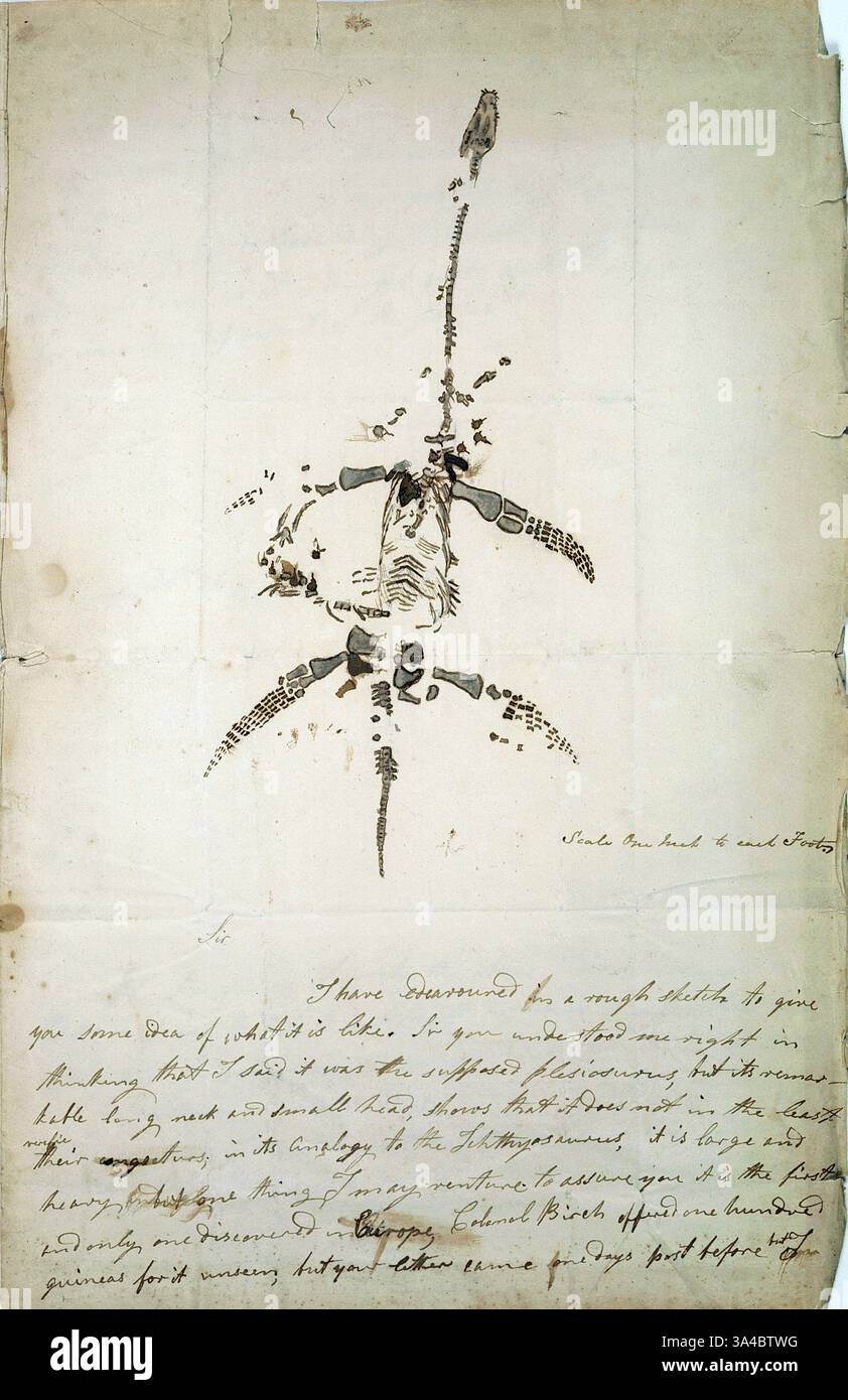 Une lettre et un dessin de Mary Anning annonçant la découverte d'un animal fossile connu sous le nom de Plesiosaurus dolichodeirus. Mary Anning était une collectionneuse, marchand et paléontologue anglaise. Elle est devenue connue internationalement pour ses découvertes dans les lits fossiles marins jurassiques dans les falaises le long de la Manche à Lyme Regis dans le comté de Dorset, au sud-ouest de l'Angleterre. Les découvertes d'Anning ont contribué à des changements dans la pensée scientifique sur la vie préhistorique et l'histoire de la Terre. Ses découvertes comprenaient le premier squelette d'ichtyosaure correctement identifié quand elle avait douze ans Banque D'Images