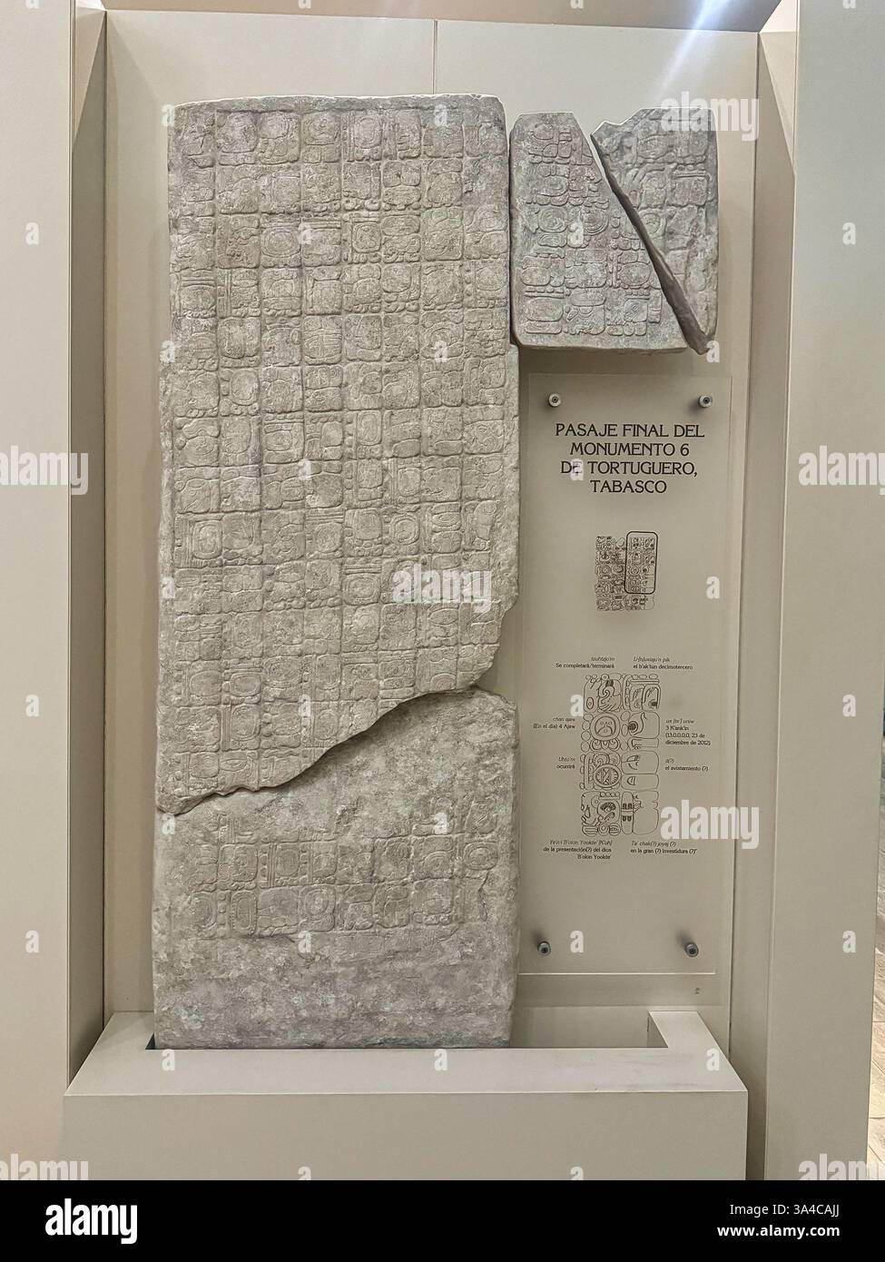 Stèle Tabasco de la région des tortues, dédiée au Dieu maya du commerce, de l'espace et du temps, Bolon Yokte fait de calcaire au Museo de Maya, Cancun, Mexique Banque D'Images