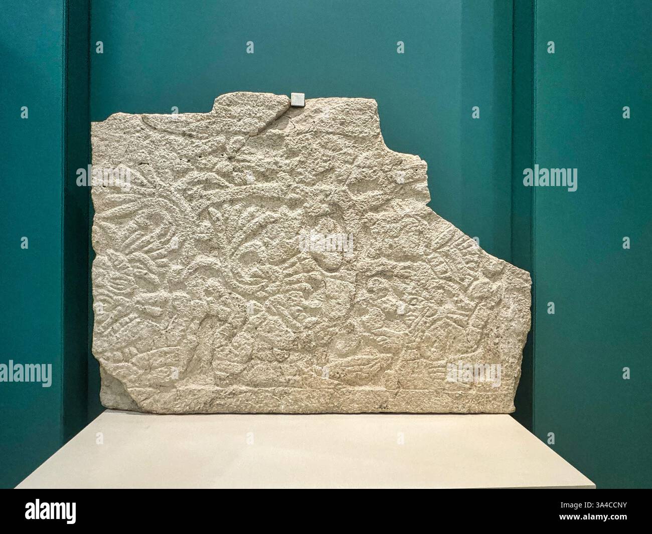 Fragment de panneau de calcaire avec relief de Dieu Pauahtun ou Pawahtunes recevant des offrandes, du temple ossuaire, Chichen Itza, Musée Maya, Cancun, Mexique Banque D'Images
