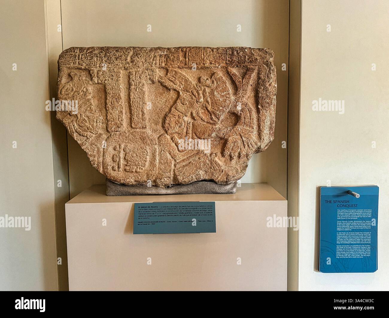 Fragment d'un panneau de calcaire avec deux joueurs de balle jouant au Ball court du site d'Ichmul, 600 à 850 EC au Museo de Maya, Cancun, Mexique Banque D'Images