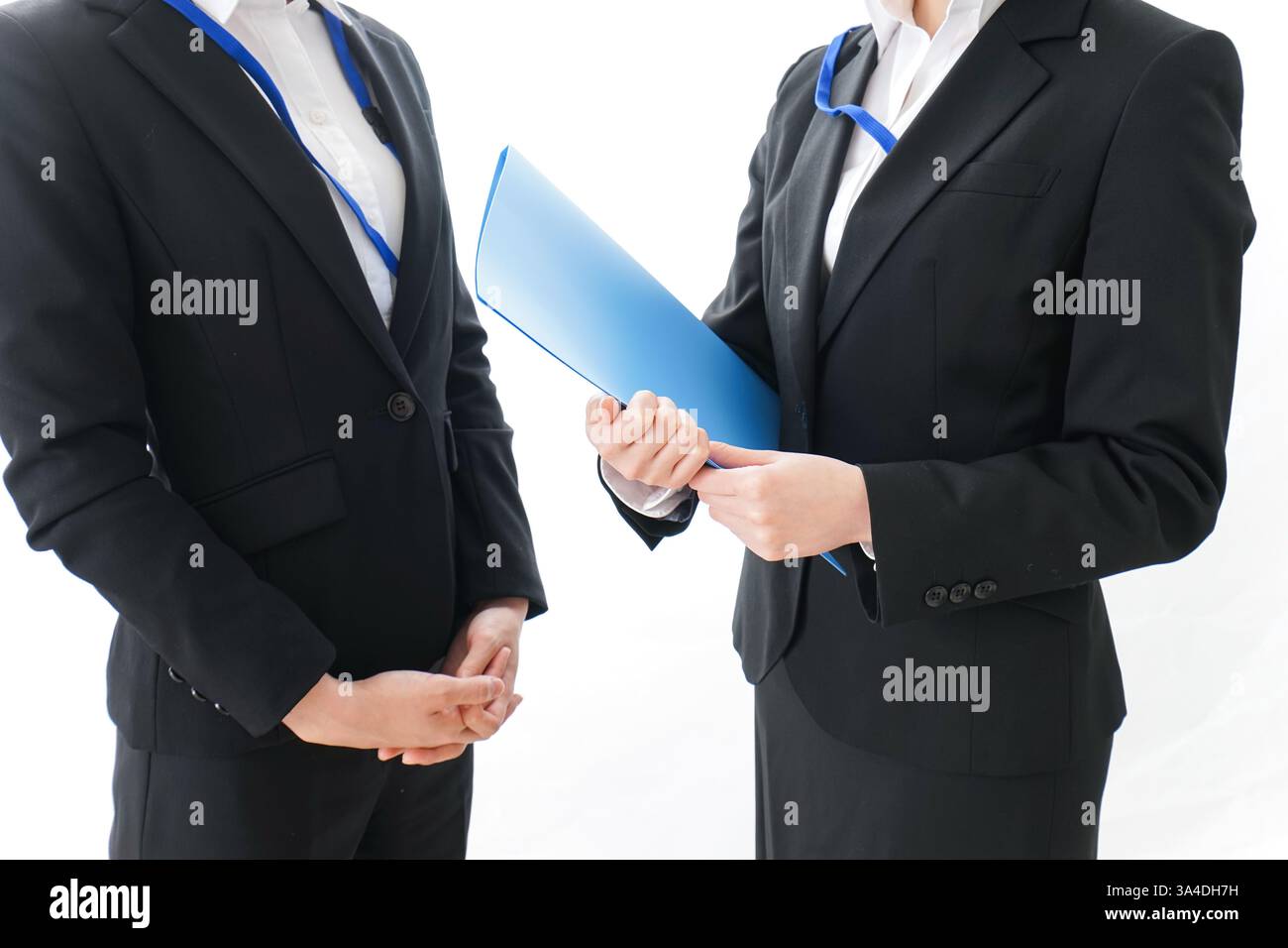 Businesswoman having a meeting Banque D'Images