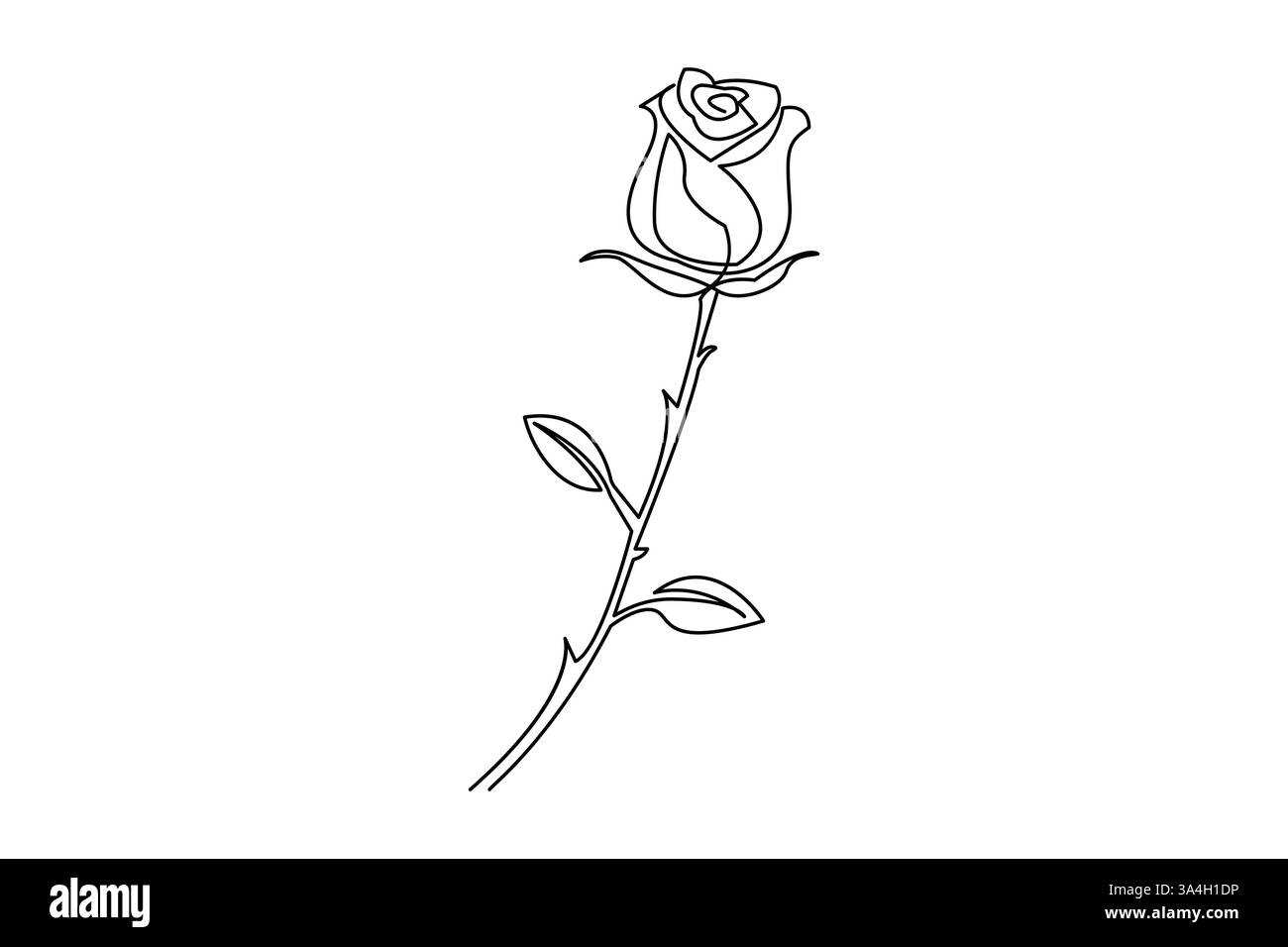 Rose concept de dessin d'une ligne de belle fleur pour saluer l'amour Illustration de Vecteur