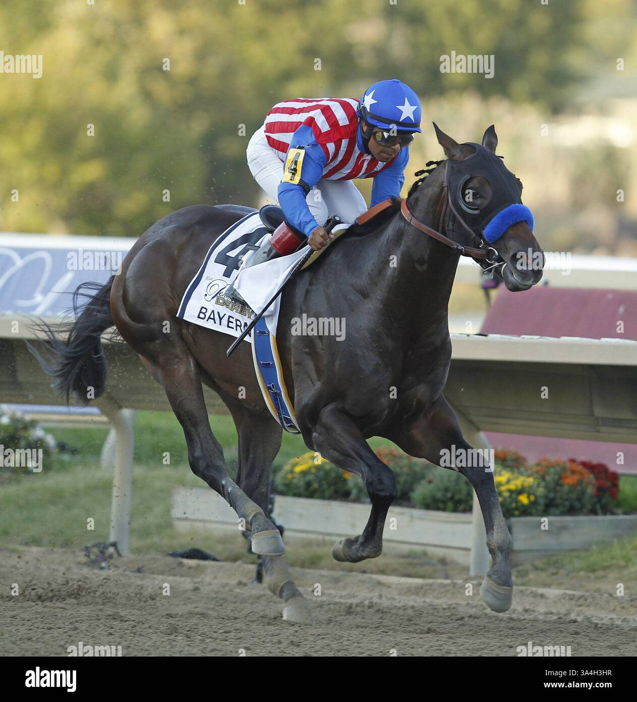 20 septembre 2014 - Bensalem, PA, États-Unis - le Bayern, monté par Martin Garcia, a pris la tête et l'a tenue jusqu'à la fin du Derby de Pennsylvanie à PARX le samedi 20 septembre 2014 à Bensalem, en Pennsylvanie (crédit image : © Ron Cortes/MCT/ZUMA Wire) Banque D'Images