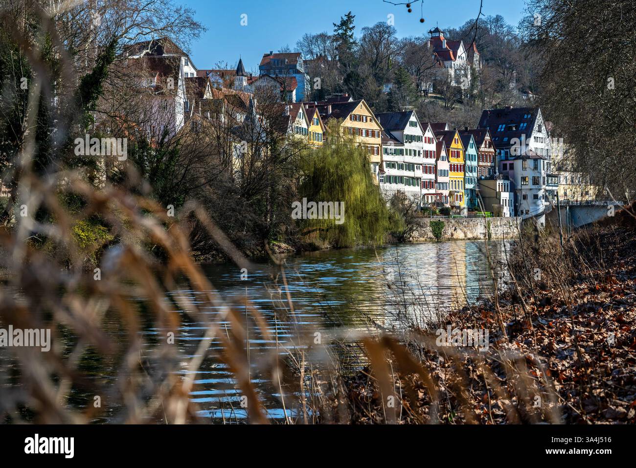 Maisons traditionnelles colorées à colombages au bord de la rivière de Tübingen, dans le sud de l'Allemagne Banque D'Images