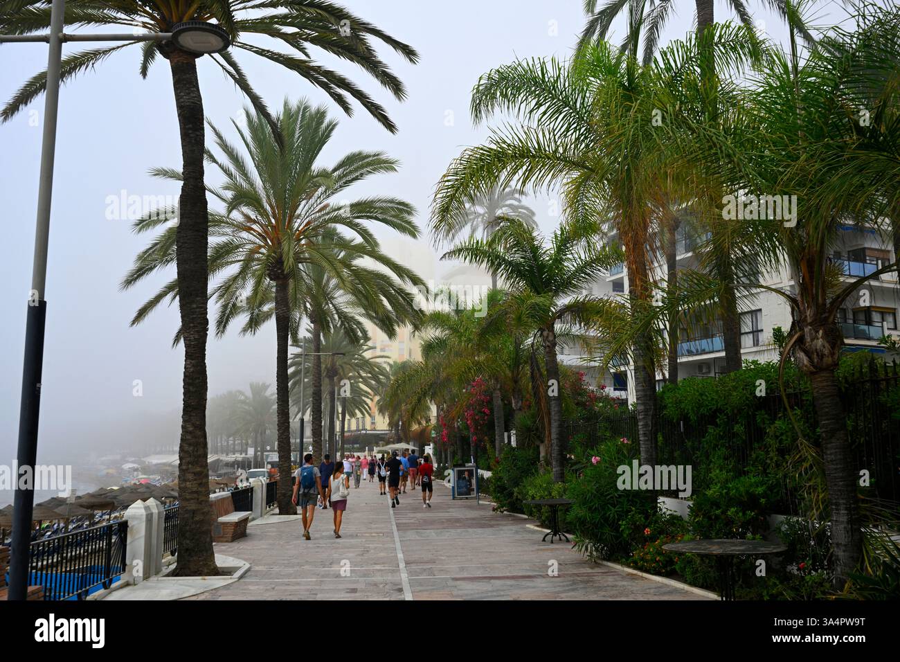 Marbella, Espagne, Europe. Banque D'Images