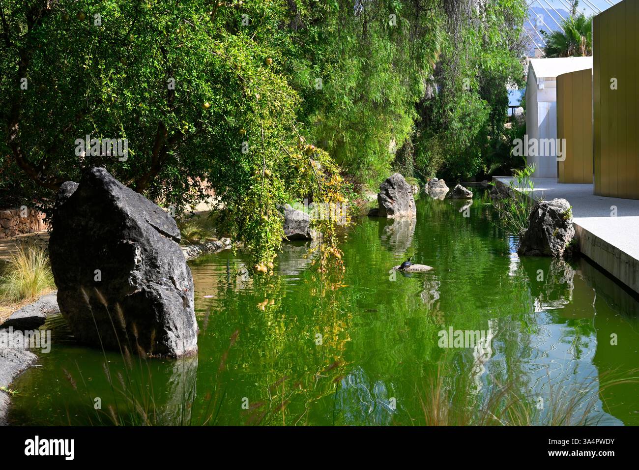 Marbella, Espagne, Europe. Banque D'Images
