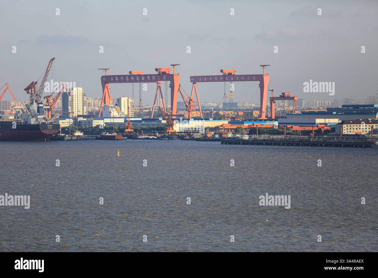 Photo du fichier : 19 mars 2025. Navires de charge en construction aux chantiers navals chinois de Waigaoqiao (CSSC - China State Shipbuilding Corp), Shanghai en 2017. Les industries du transport et de la logistique, l'industrie de la construction navale et de l'air, les importateurs/exportateurs de marchandises et de fret, les opérateurs portuaires, ainsi que les entreprises impliquées dans la vente, la transformation, le stockage ou le transport d'énergie ou de matières premières, et de nombreux autres secteurs de l'économie mondiale attendent avec impatience le 24 mars pour la conclusion de l'audition publique organisée par le représentant commercial des États-Unis (USTR) à...crédit : KEVIN IZORCE/Alamy Live News Banque D'Images Photo du fichier : 19 mars 2025. Navires de charge en construction aux chantiers navals chinois de Waigaoqiao (CSSC - China State Shipbuilding Corp), Shanghai en 2017. Les industries du transport et de la logistique, l'industrie de la construction navale et de l'air, les importateurs/exportateurs de marchandises et de fret, les opérateurs portuaires, ainsi que les entreprises impliquées dans la vente, la transformation, le stockage ou le transport d'énergie ou de matières premières, et de nombreux autres secteurs de l'économie mondiale attendent avec impatience le 24 mars pour la conclusion de l'audition publique organisée par le représentant commercial des États-Unis (USTR) à...crédit : KEVIN IZORCE/Alamy Live News Banque D'Images