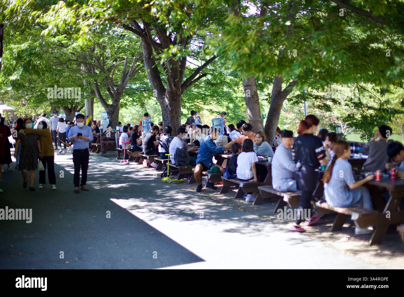 Comté de Damyang, Corée du Sud - 24 septembre 2020 : les gens prennent leurs repas sur des tables de pique-nique ombragées le long de Damyang Noodle Street, connue pour son Ko traditionnel Banque D'Images