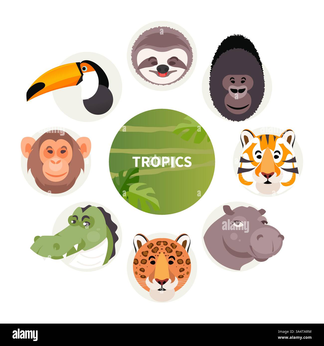 Ensemble d'animaux de bande dessinée de la forêt tropicale et de la jungle. Illustration vectorielle Illustration de Vecteur
