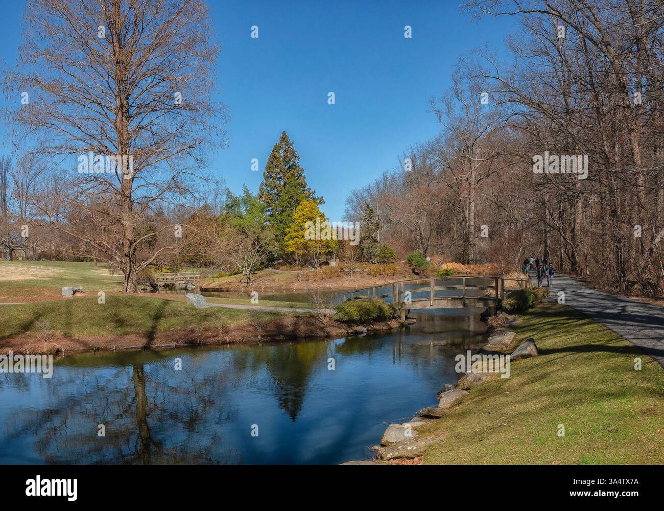 Un pont en bois sur un étang dans le parc. Banque D'Images