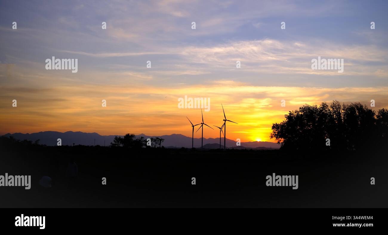 Un beau coucher de soleil sur un parc éolien, un champ verdoyant à côté des montagnes, avec des moulins à vent colossaux et majestueux qui s'étendent sur les rizières. Banque D'Images