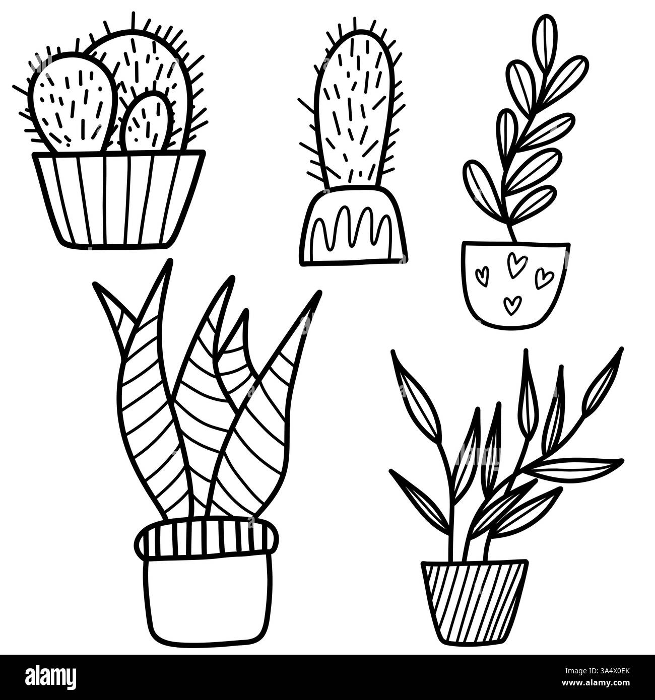 Illustration dessinée à la main de plantes de maison en pot dans le style noir et blanc Illustration de Vecteur
