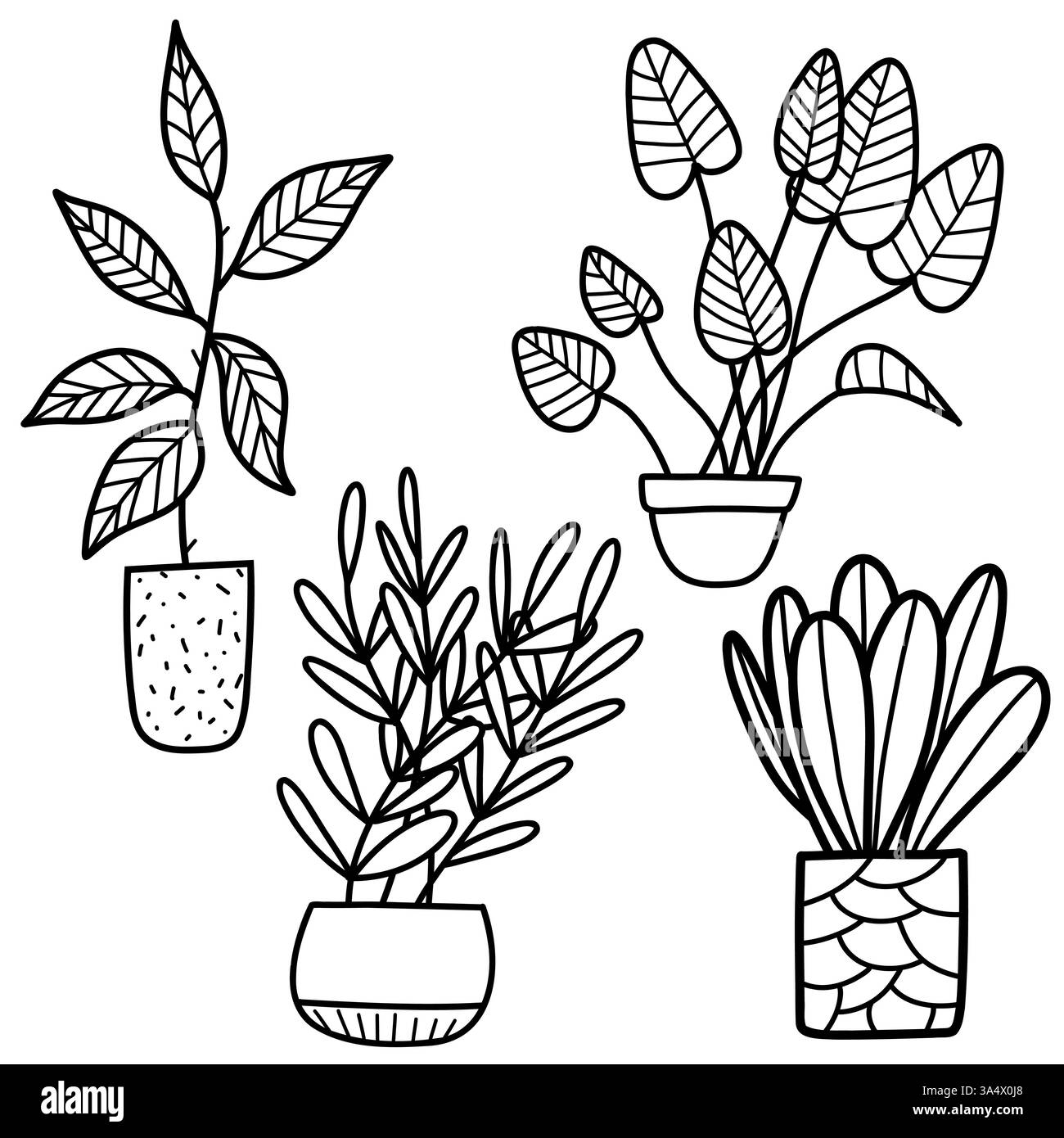 Dessins au trait noir et blanc de plantes d'intérieur en pot dans un style simple Illustration de Vecteur