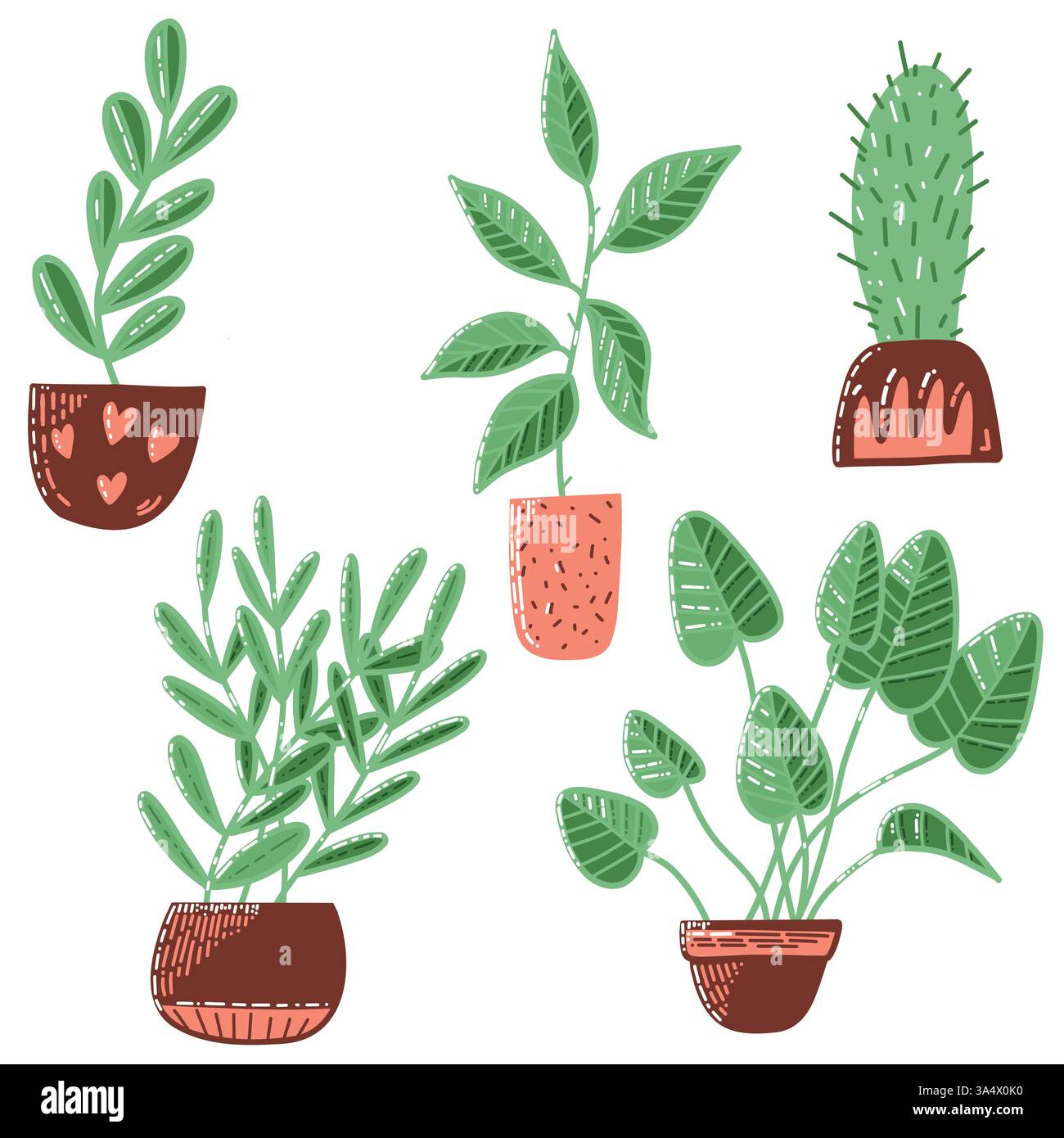 Plantes vertes dessinées à la main dans l'illustration décorative de pots de fleurs Illustration de Vecteur