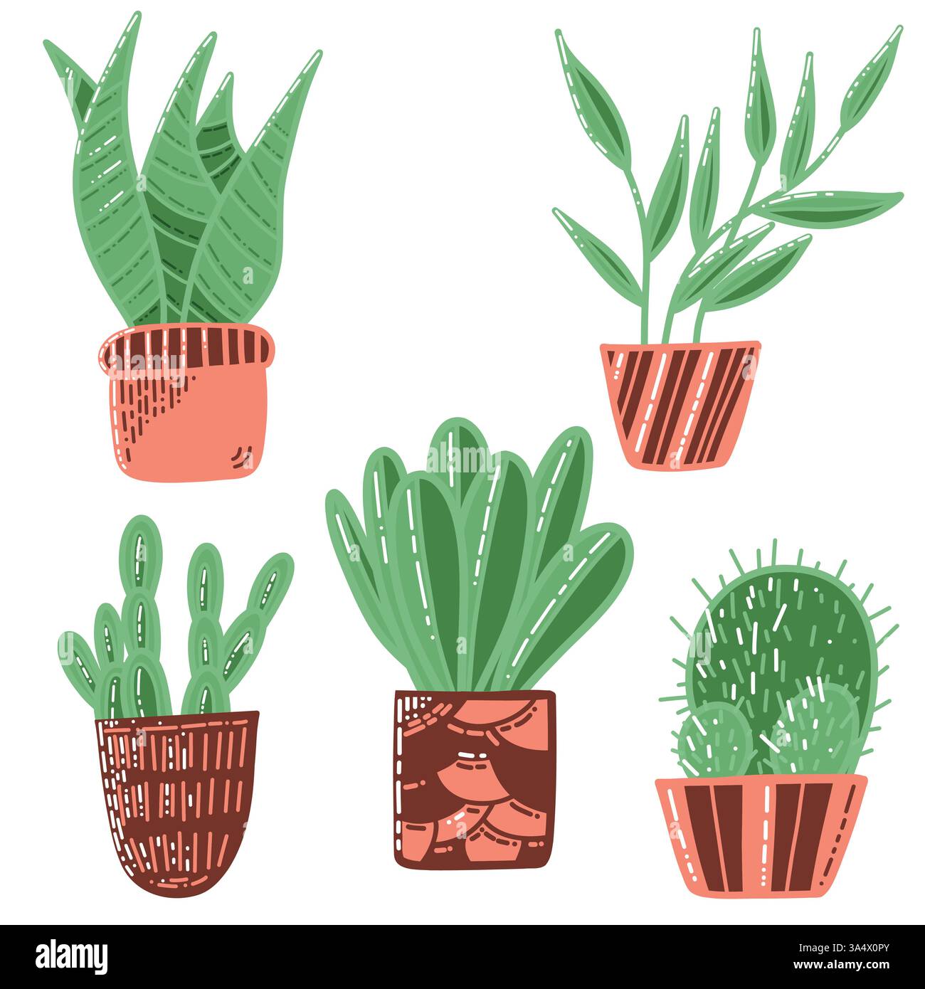 Ensemble de plantes en pot illustrées et de succulents pour la décoration intérieure Illustration de Vecteur