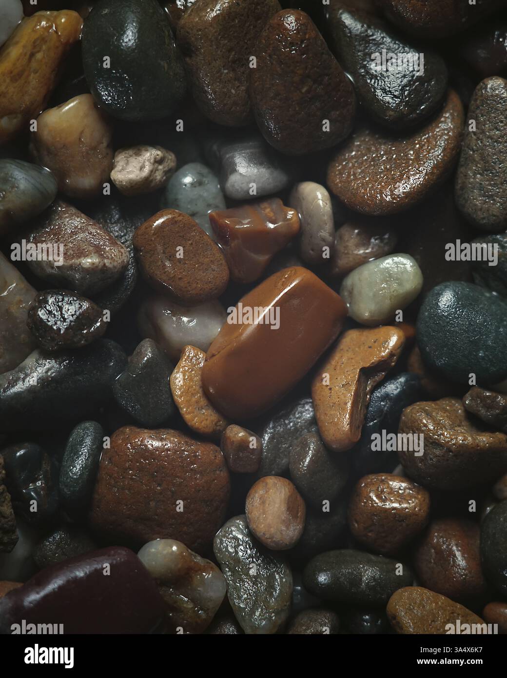 Pierres marron mouillées en vue de dessus – arrière-plan à texture naturelle Banque D'Images