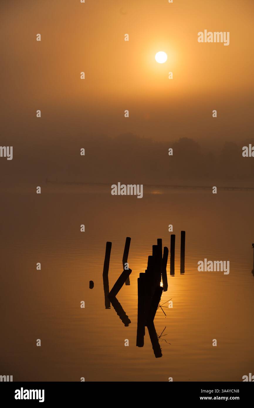 Un lever de soleil doré sur le lac avec du brouillard et un arbre dans l'eau en automne Banque D'Images