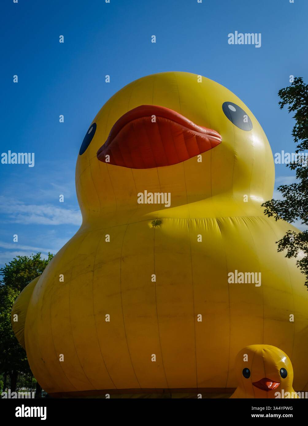 Vue avant d'un grand canard en caoutchouc jaune gonflable avec ciel bleu et arbres Banque D'Images