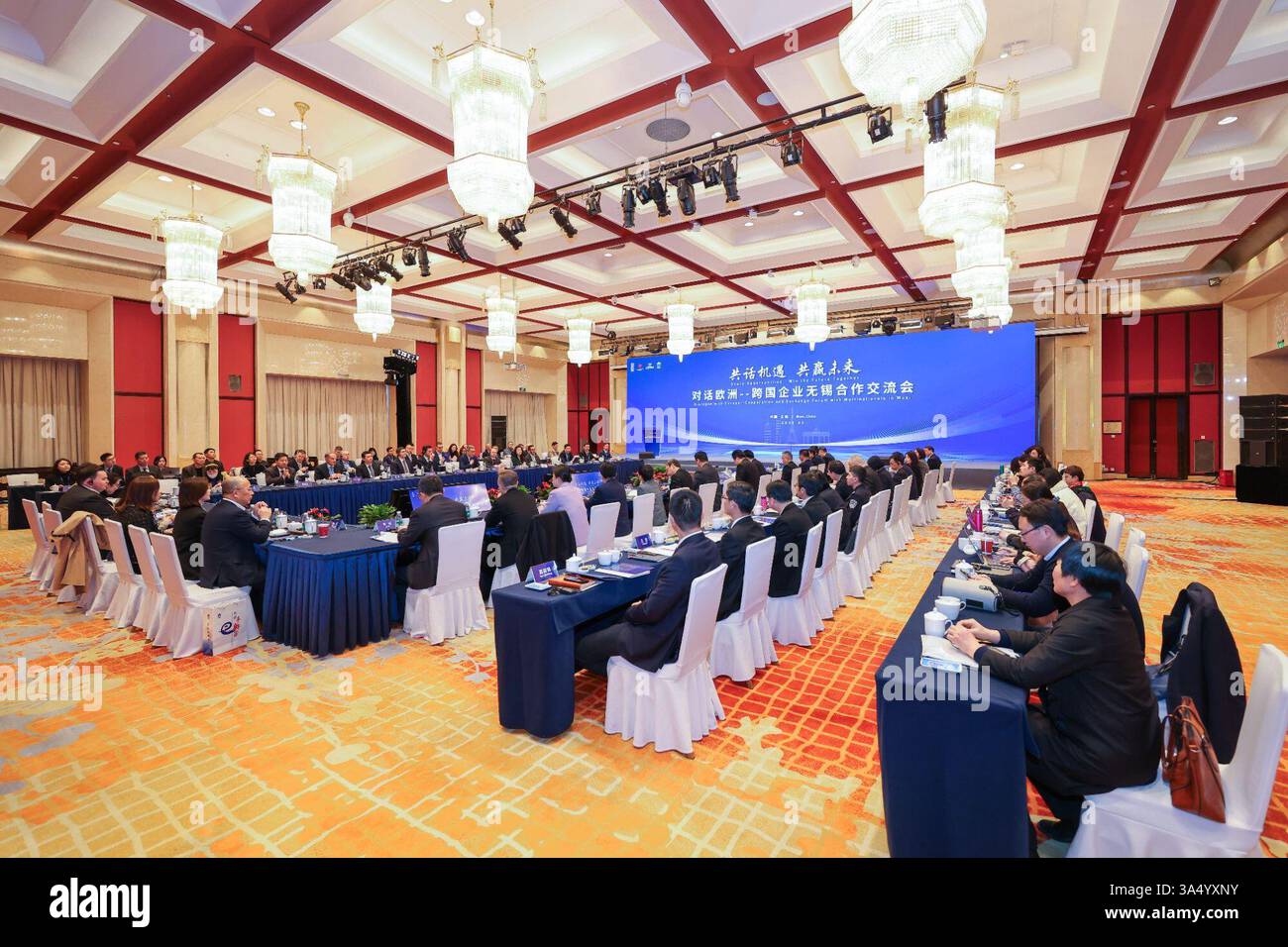 Wuxi. 20 mars 2025. Une activité d'échange économique et commercial 'Forum de coopération et d'échange avec les multinationales', qui fait partie du mois international de Wuxi 2025, se tient à Wuxi, dans la province du Jiangsu, dans l'est de la Chine, le 19 mars 2025. POUR ALLER AVEC « la ville de Chine orientale accueille le festival des cerisiers en fleurs, activités internationales au milieu de la mer de fleurs » crédit : Xinhua/Alamy Live News Banque D'Images