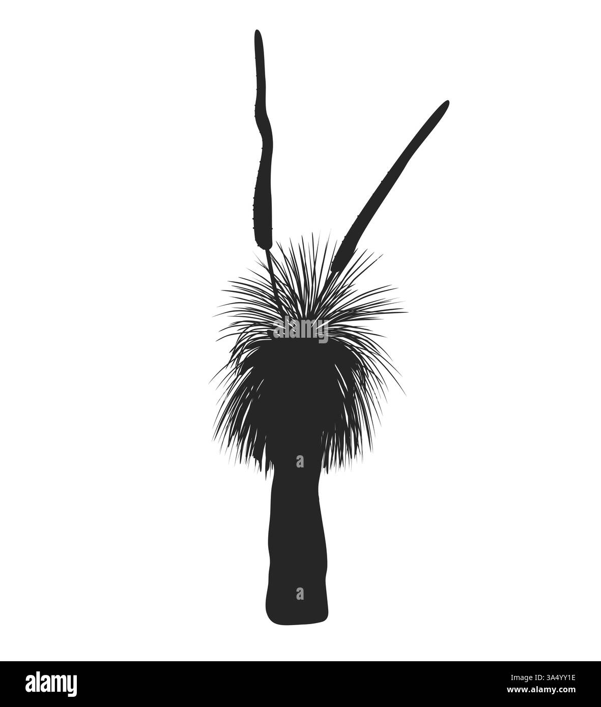Contour arbre de Xanthorrhoea avec illustration isolée de vecteur de fleur. L'herbe en fleur, élément de flore endémique australienne indigène. Illustration de Vecteur Contour arbre de Xanthorrhoea avec illustration isolée de vecteur de fleur. L'herbe en fleur, élément de flore endémique australienne indigène. Illustration de Vecteur