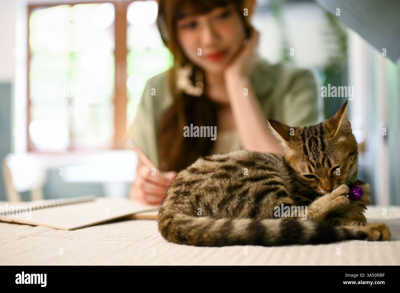 Femme asiatique assise à un bureau à la maison, posant son menton sur sa main tout en écrivant des notes et en jetant un coup d'œil à son chat sur la table. Le cadre confortable du salon souligne un moment domestique calme avec un chat tabby à proximité. Banque D'Images