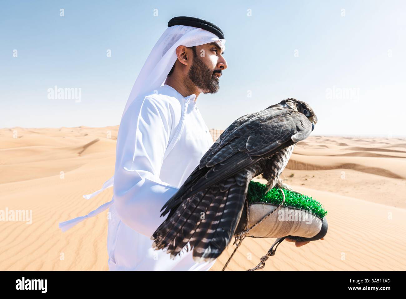 L'homme du moyen-Orient dans une kandura traditionnelle se tient dans le désert avec un faucon. La scène capture le patrimoine de fauconnerie, les paysages désertiques et les vêtements culturels. Adapté à la culture, aux voyages et aux modes de vie du moyen-Orient. Banque D'Images