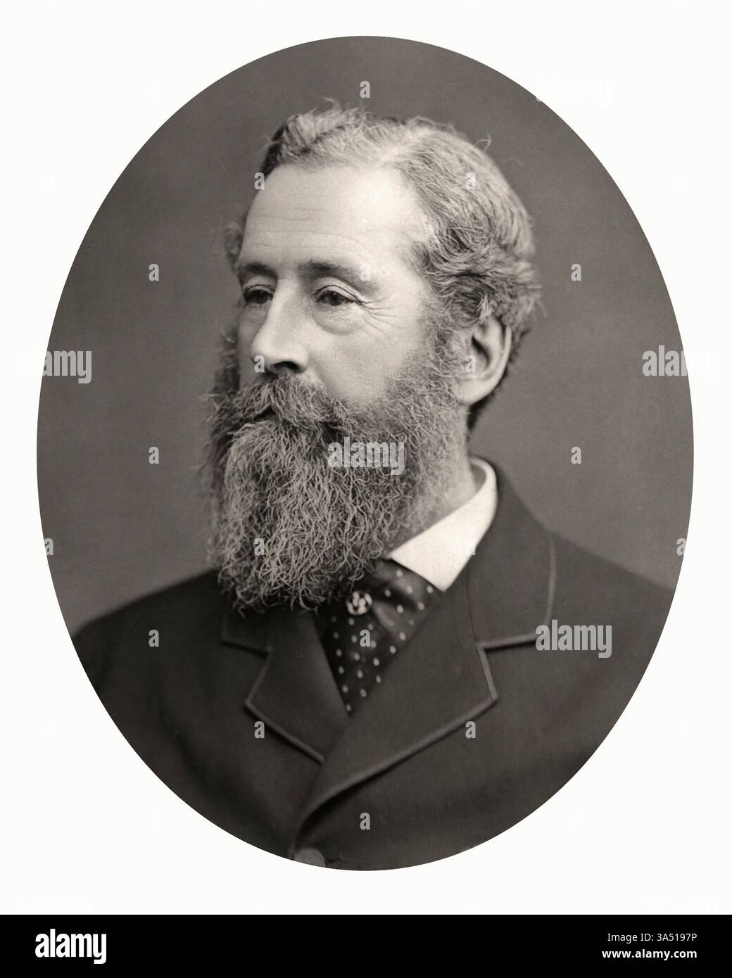 Portrait de James Hamilton, 1er duc d'Abercorn (1811-1885) courtisan britannique et homme d'État. Banque D'Images