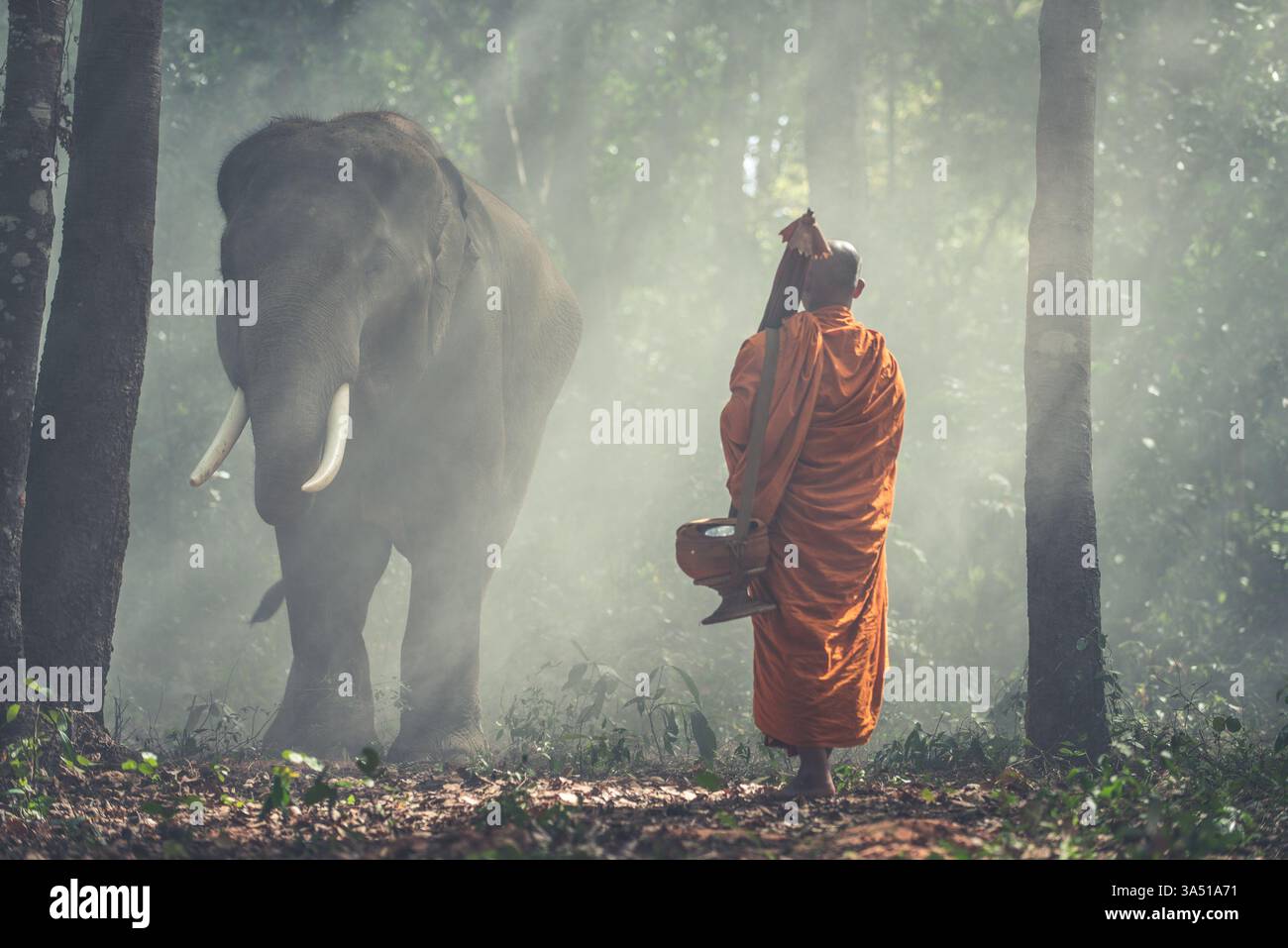 Un moine asiatique sérieux en robes de safran marche avec une cruche d'eau argileuse à travers une forêt ensoleillée à côté d'un éléphant. Ces images évocatrices de voyage et de religion conviennent aux campagnes éditoriales, culturelles et touristiques. Une faune distinctive et une scène spirituelle pour le matériel de marketing. Banque D'Images