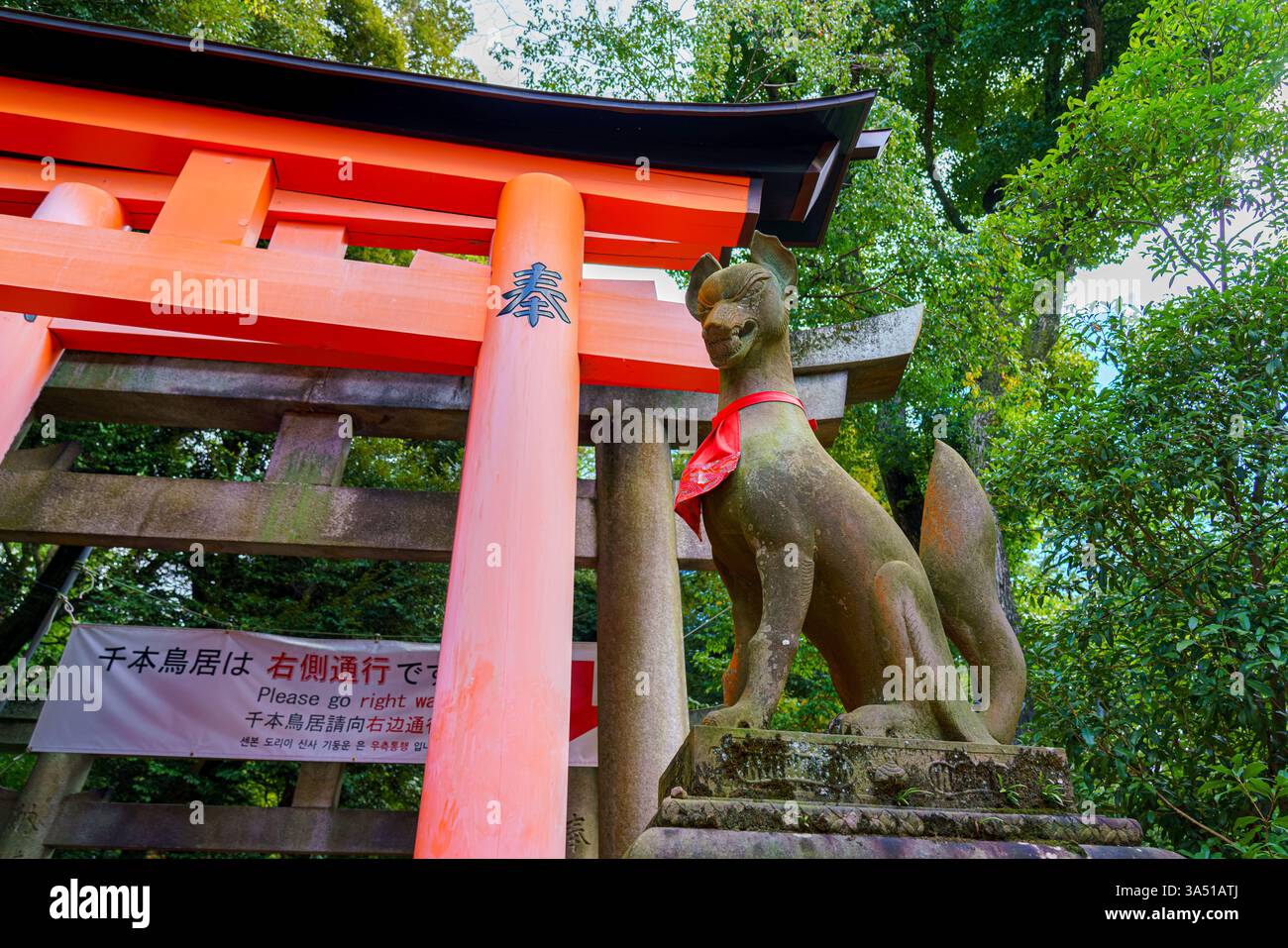Kyoto, Japon - 23 septembre 2024, vue rapprochée de la statue d'un renard japonais, kitsune, tenant un objet doré dans sa bouche, à la tempe Fushimi Inari Banque D'Images