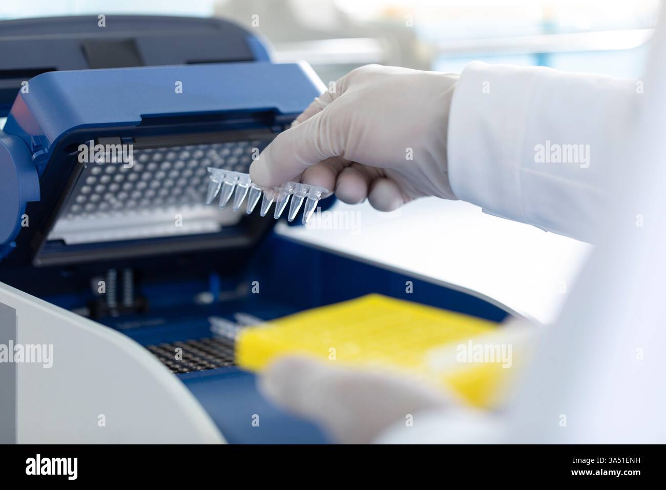 Scientifique chinois examinant des échantillons médicaux en laboratoire. Parfait pour la recherche biotechnologique, le travail en laboratoire et les visuels d'étude scientifique. Banque D'Images