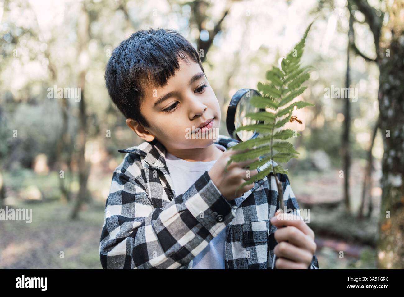 Garçon hispanique à l'extérieur dans les bois examinant une feuille avec une loupe. Cette image éducative sur le thème de la nature fonctionne bien pour la science, la découverte et les activités des jeunes. Banque D'Images