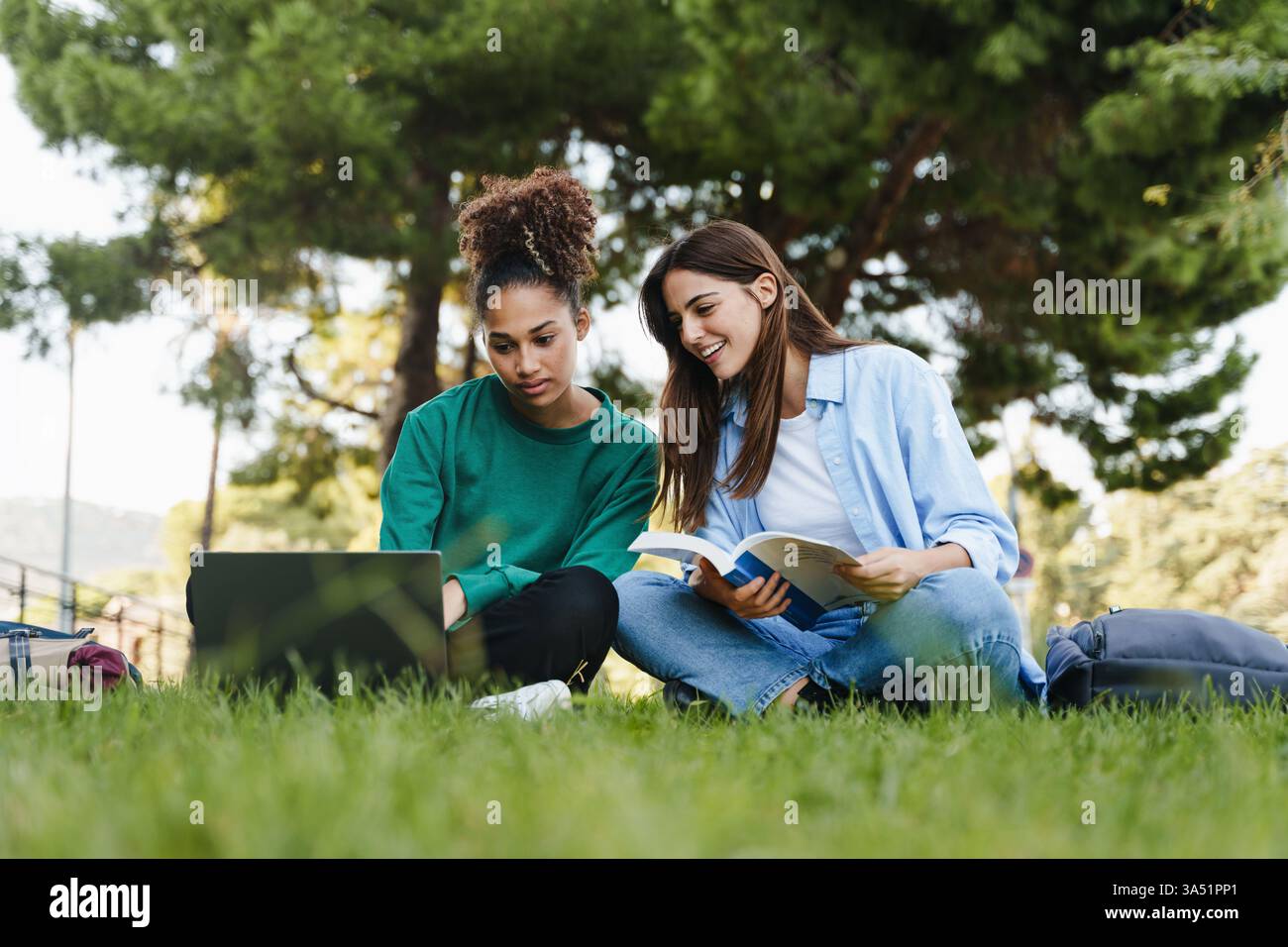Afro-américaine étudiante d'université utilise un ordinateur portable tout en étudiant avec un ami blanc sur l'herbe du campus. Session d'étude en plein air sur le campus avec technologie et livres, mettant en valeur le travail d'équipe et la vie étudiante diversifiée. Idéal pour l'éducation, les activités sur le campus et les campagnes d'apprentissage collaboratif. Banque D'Images