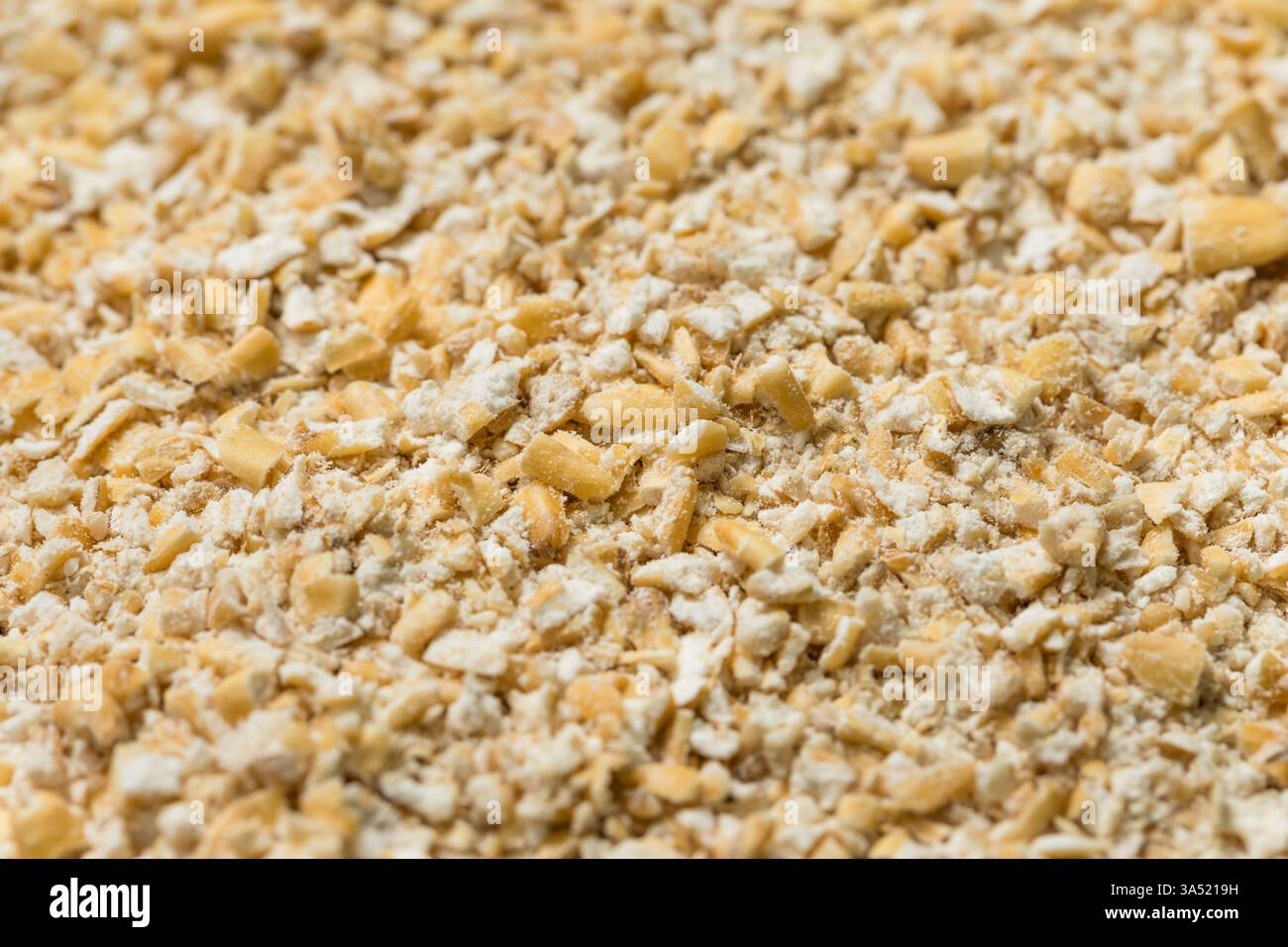 Avoine bio Dry Quick Steel Cut dans un bol pour flocons d'avoine Banque D'Images