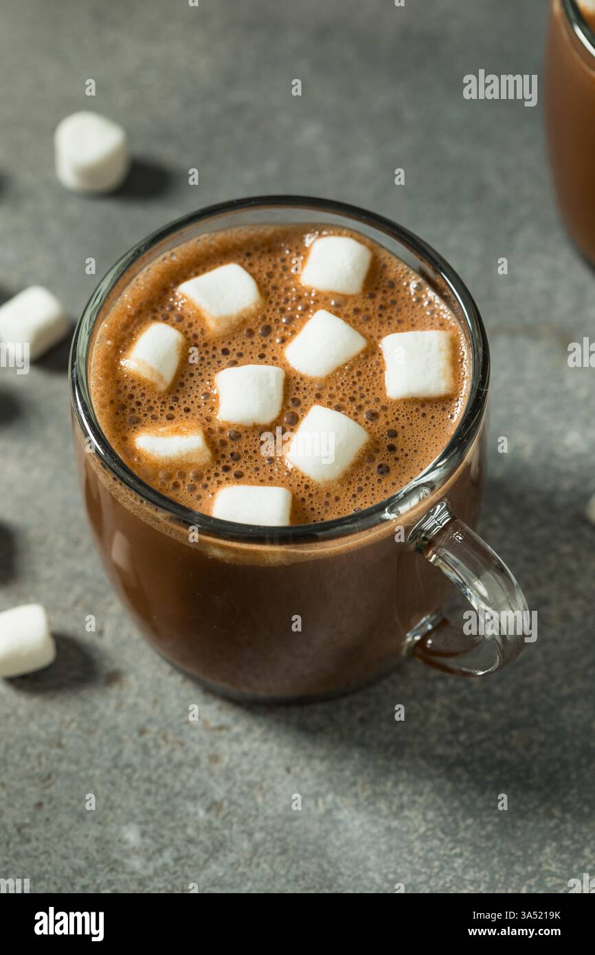 Chocolat chaud doux fait maison avec guimauves dans une tasse Banque D'Images
