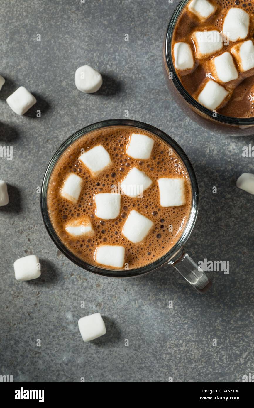 Chocolat chaud doux fait maison avec guimauves dans une tasse Banque D'Images