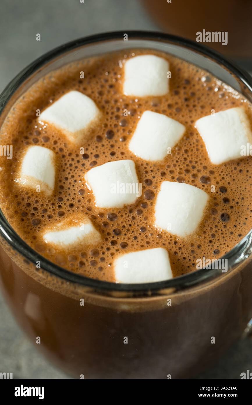 Chocolat chaud doux fait maison avec guimauves dans une tasse Banque D'Images