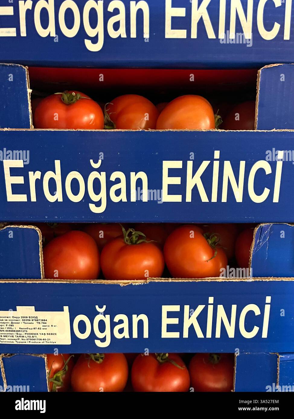 Tomates, Erdogan EKINCI, Turquie, turc, légumes, entrepôt, stockage, caisses en carton, logistique, stockage de légumes, distribution, chaîne d'approvisionnement Banque D'Images