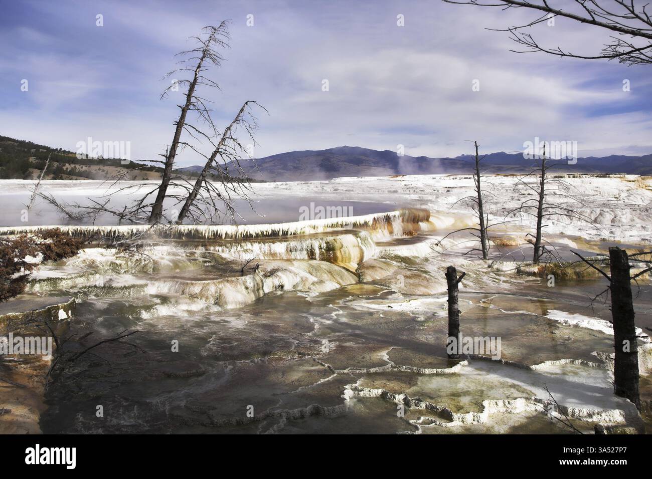 Brouillard chaud au-dessus des sources géothermiques dans le parc national de Yellowstone Banque D'Images