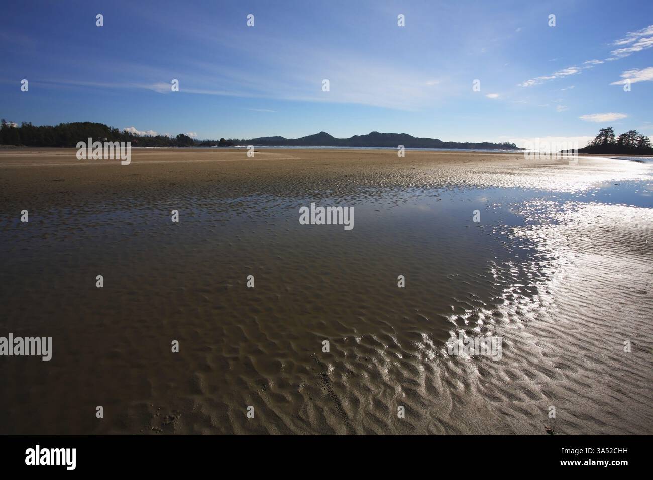 Côte Pacifique de l'île de Vancouver au coucher du soleil. La marée basse expose le sable humide Banque D'Images
