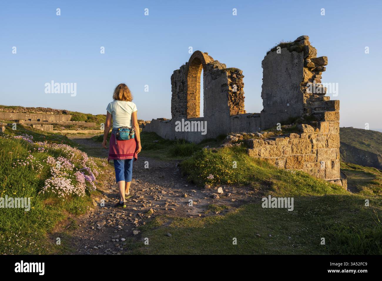 Un randonneur sur un chemin dans les ruines de la mine Botallack, également connue sous le nom de Crown mine. A gauche, œillets de mer fleuris (Armeria maritima). Soir, doré Banque D'Images