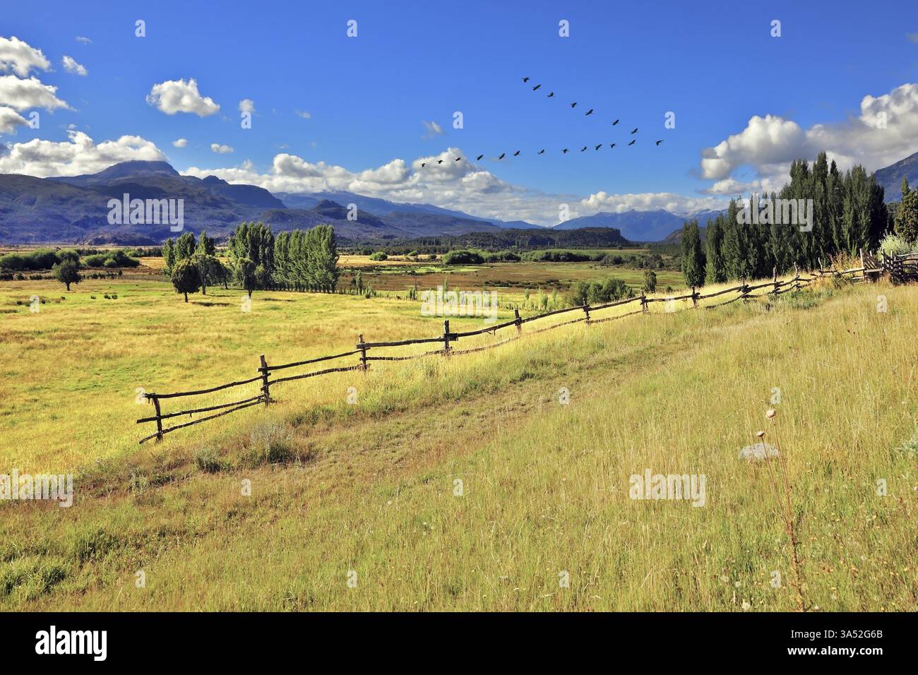 Paysage rural pittoresque. Des clôtures en bois clair sont installées sur les pentes de la terre vallonnée Banque D'Images