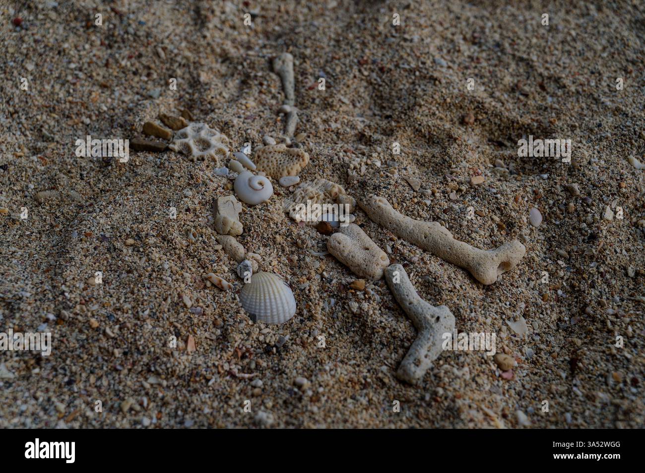 Un squelette fantaisiste fait de corail et de coquillages, laissé par les enfants sur les rives sablonneuses de Tonsai Beach Banque D'Images