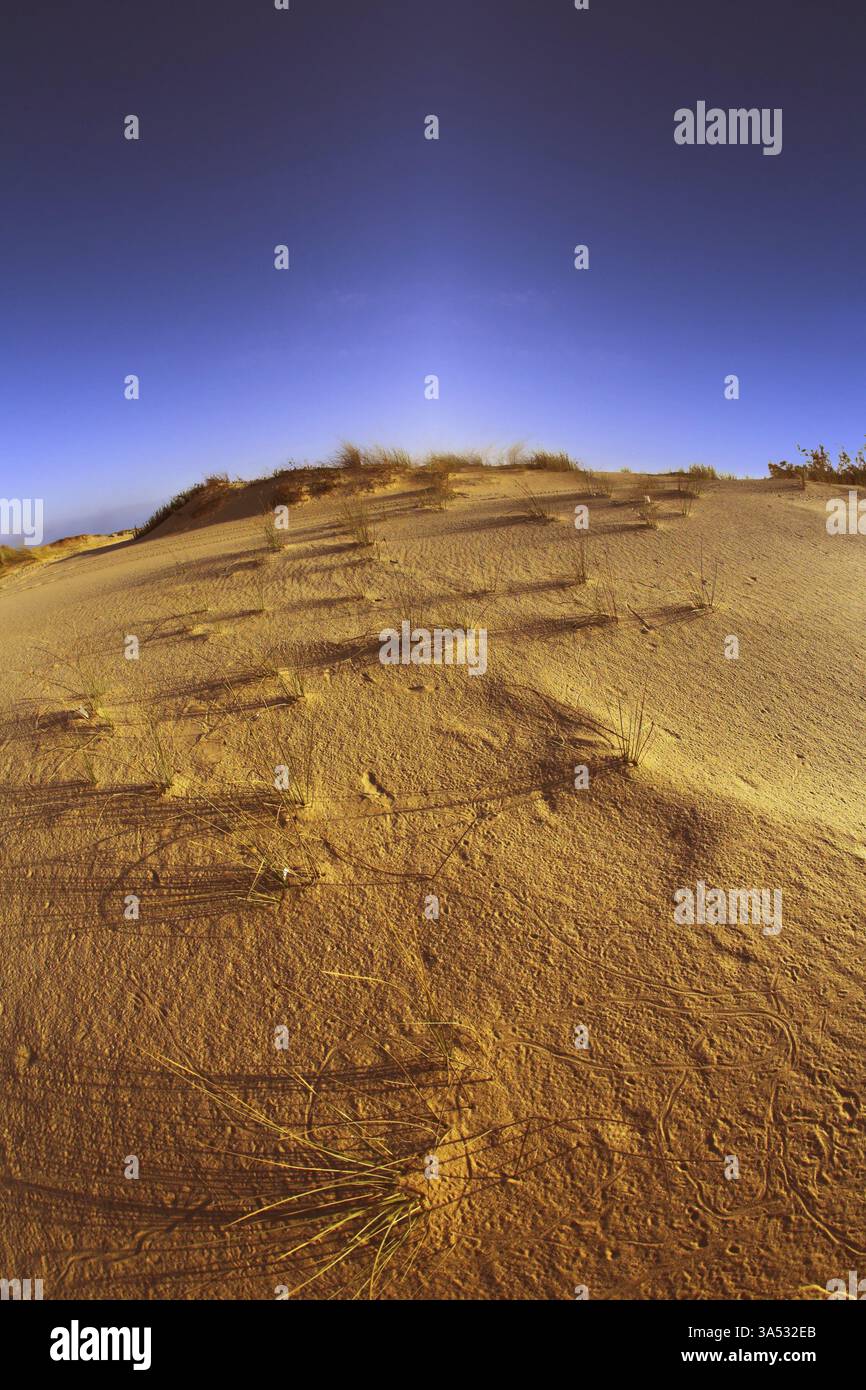Dunes de sable sur la côte de la mer Méditerranée sur un coucher de soleil Banque D'Images