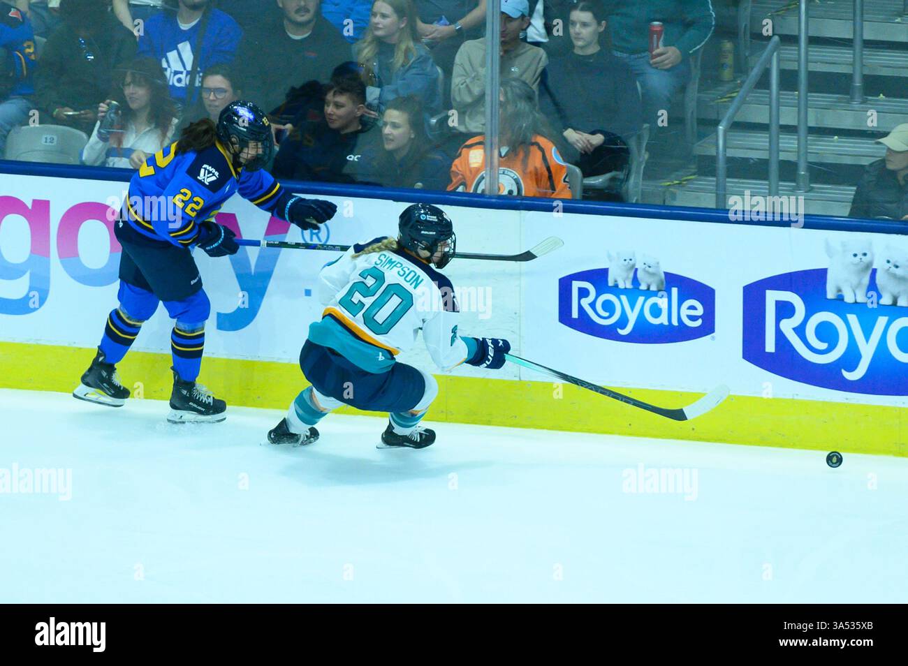 Toronto, ON, Canada – 19 mars 2025 : la 22e Maggie Connors, avant des sceptres de Toronto, et la 20e Allyson Simpson, défenseuse des Sirens de New York, se battent pour la victoire Banque D'Images